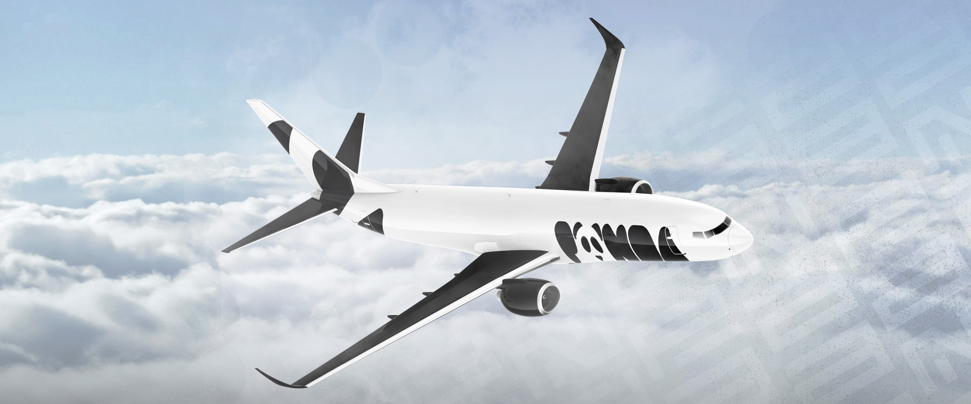 Panda Airlines Project Image